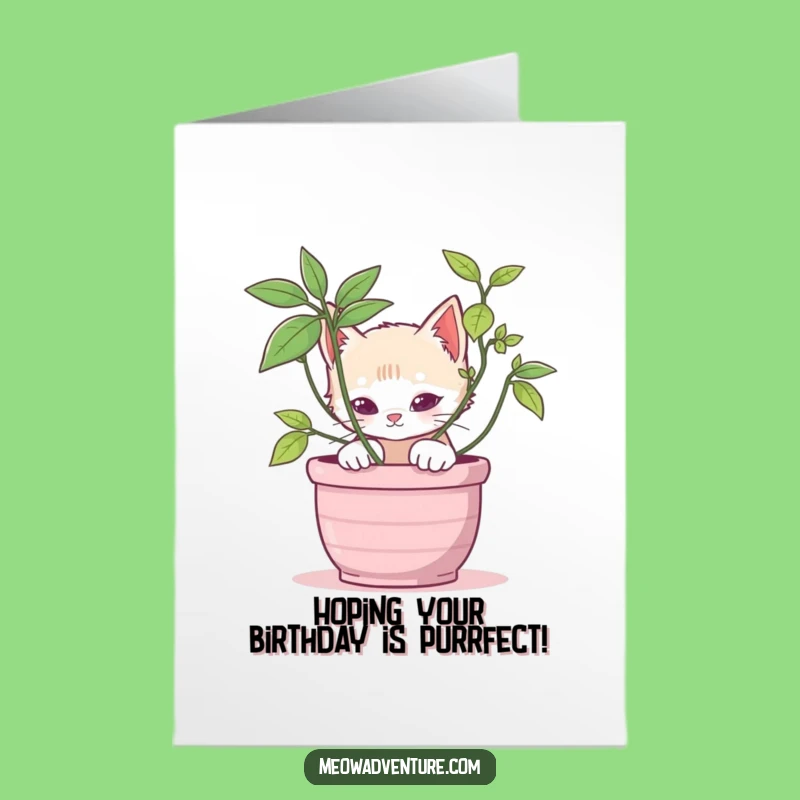 Free Printable Birthday Card: Stealth Kitten Surprise - Funny Downloadable Gift!